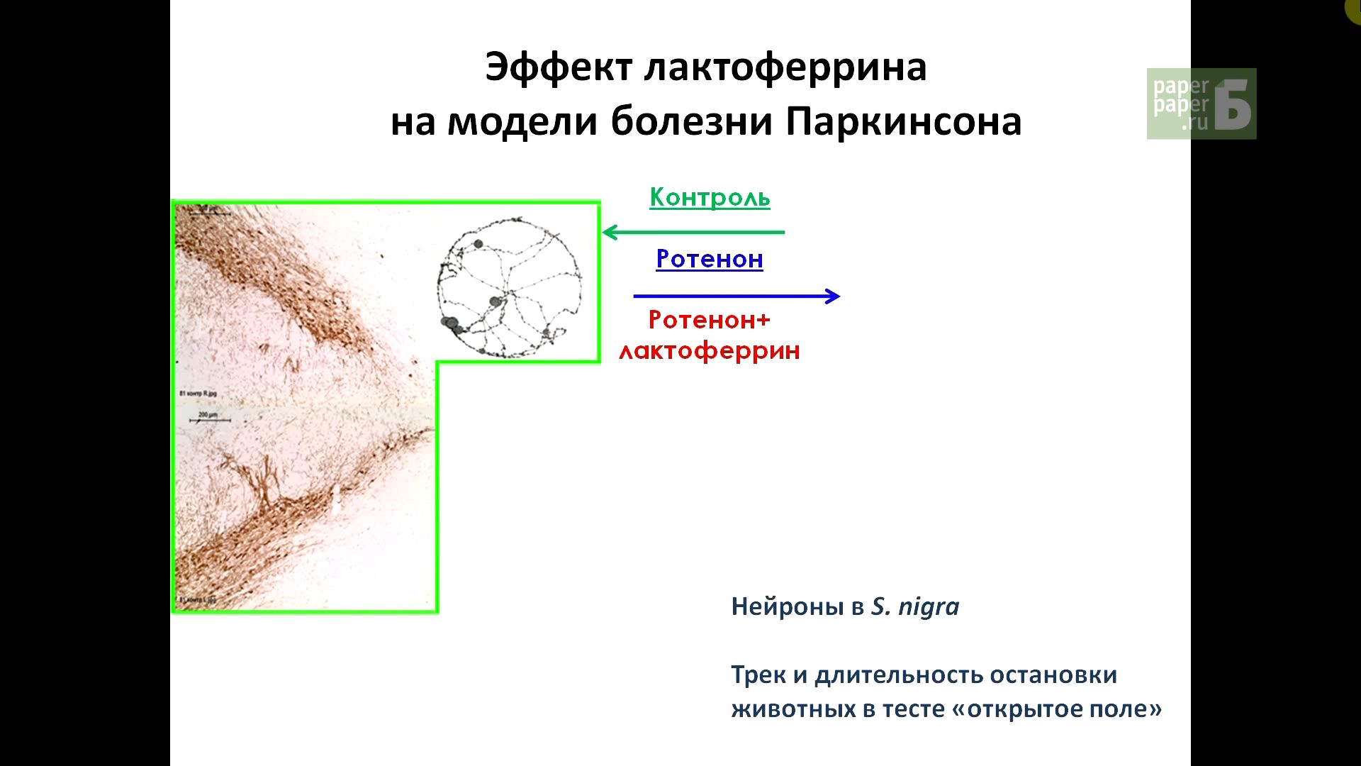 hl_alcgeymer_parkinson.jpg