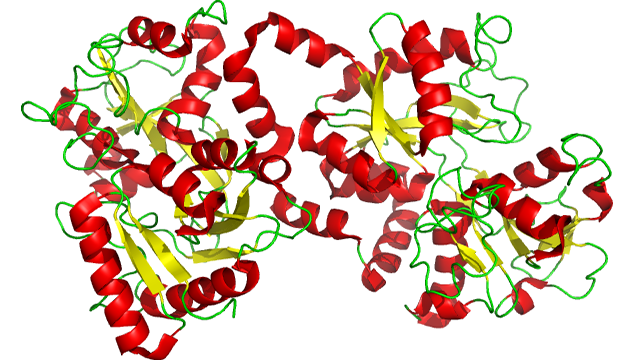 lactoferrin2.png